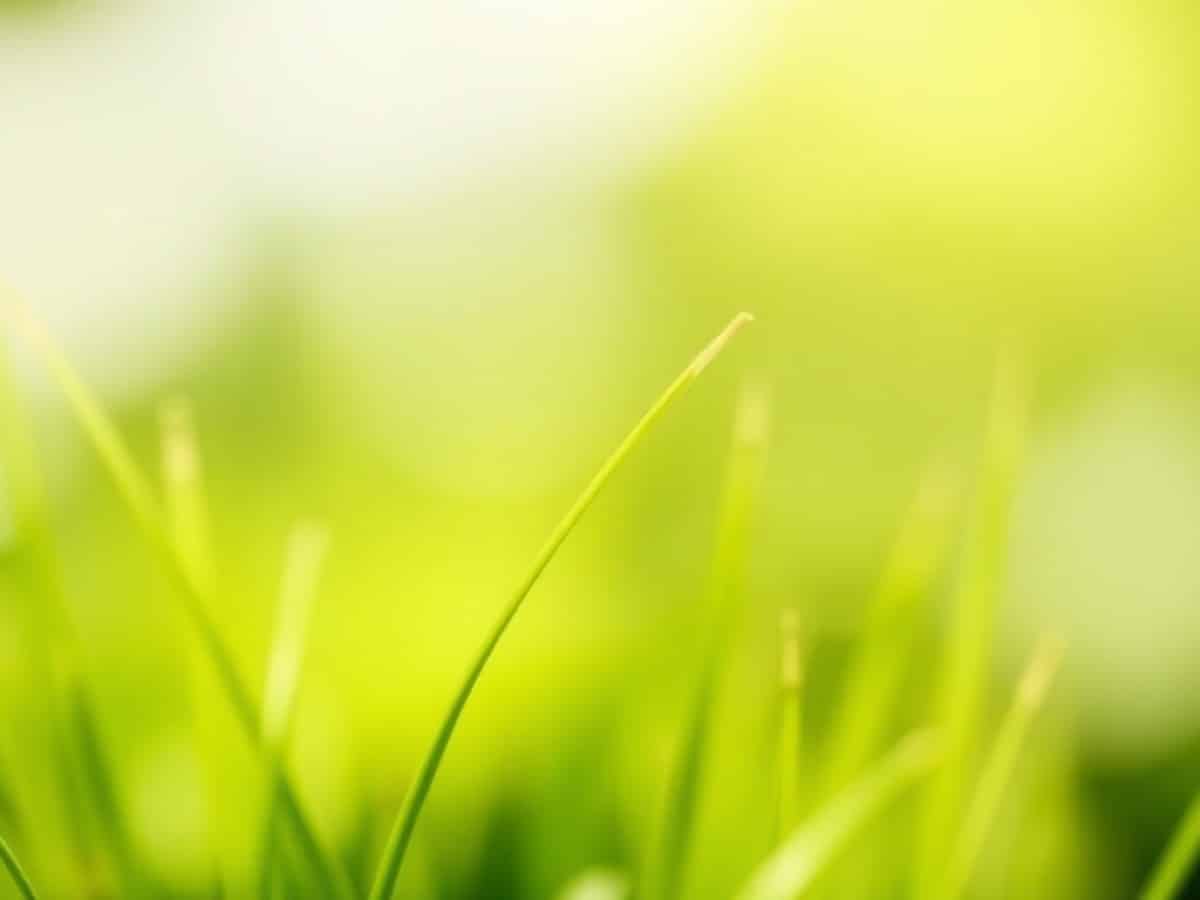 ISEE da rifare dopo il primo aprile, ecco a chi conviene e perché 