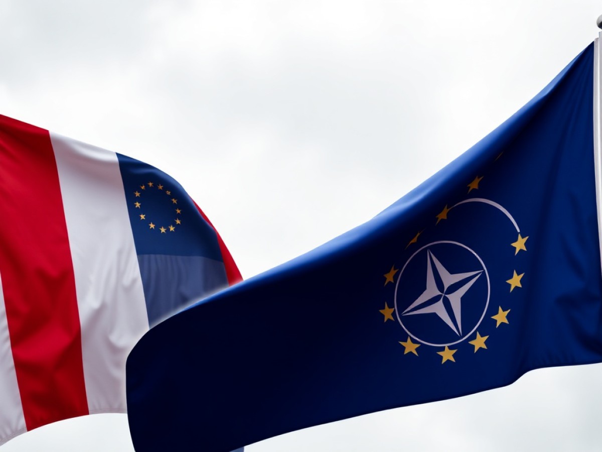 Guerra e debito: i limiti europei alla spesa per la NATO